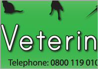 Vet Role Play Banner