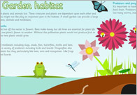 Large Garden Habitat Poster