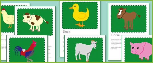 Farmyard Animal fact Cards