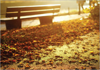 Autumn Photo Pack