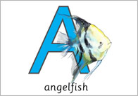 Under The Water Alphabet Cards