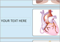 Editable Body Parts Labels
