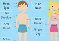 ‘My Body’ Word Mat