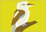 Australian Animals 15cm Flashcards
