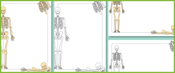 download the mammalian fetus in