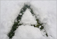 Snow Letter Photographs – Upper Case