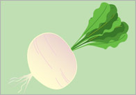 The Great Big Turnip Story Visuals