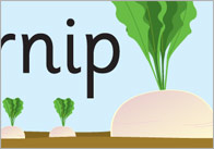 The Great Big Turnip Display Banner