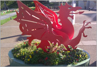 St David’s Day Photo Pack