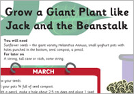 Grow A Sunflower Activity Plan