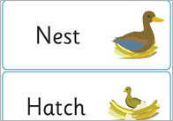 The Ugly Duckling Keyword Cards