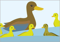 The Ugly Duckling Story Visuals