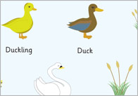 The Ugly Duckling Word Mats