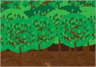 Goldliocks Small World Scenery – Part 2: Forest