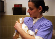 Vet Photo Pack