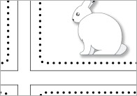 Polar Regions Flashcards