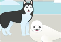 Polar Regions Page Border / Notepaper