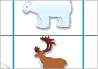 Polar Regions Bingo