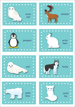 Early Learning Resources Polar Animals Editable Labels | Free EYFS resources