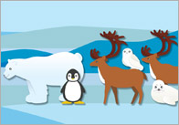 Polar Regions Display Posters