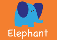 Animal Alphabet A4 Flashcards