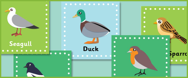 British bird posters