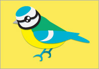 British Bird 15cm Flashcards