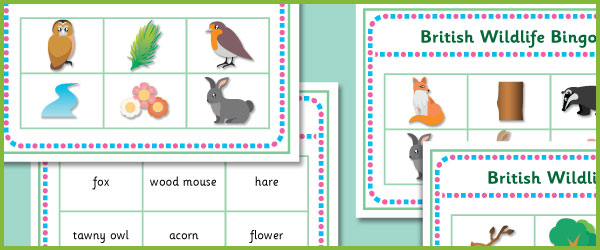 British Wildlife Bingo