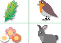 British Wildlife Bingo
