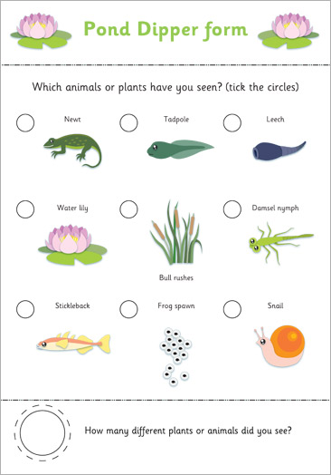 Early Learning Resources Pond Life Check List / Spotter Sheet