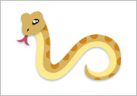 Desert Themed Flashcards