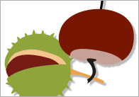 Autumn 15cm Topic Cards
