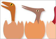 Dinosaur Egg Number Bonds