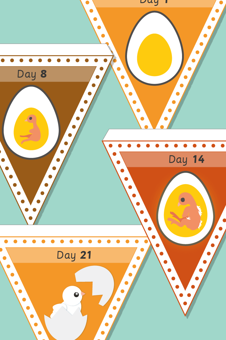 Chick Embryo Bunting