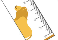 Jungle Animals Printable Rulers