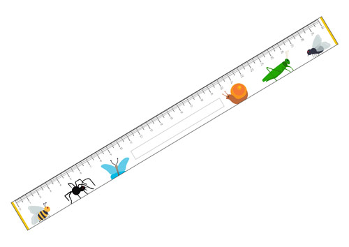 Minibeasts Printable Rulers Cost-free Early Several years Basic image about Free Printable Ruler identified as Minibeasts Printable Rulers Totally free Early Several years Essential