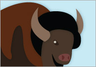 American Animal Posters