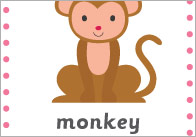 Exotic Animals 15cm Cards