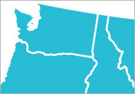 Giant USA Map