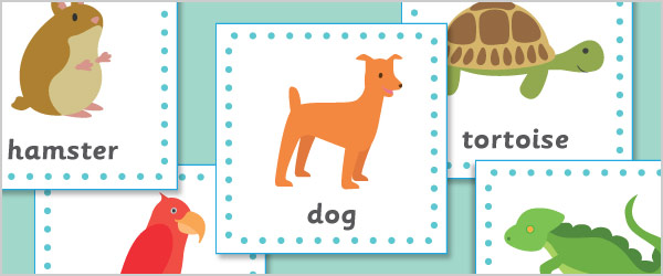 Pets 15cm Cards