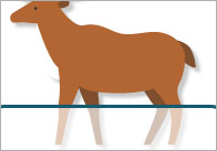 Polar Animals Self-Registration Labels