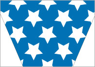 USA Bunting
