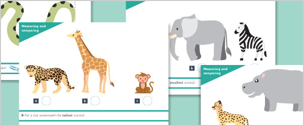 Zoo Animals Measuring Activity Mats