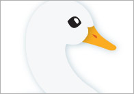 Duck Life Cycle Posters