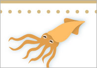 Editable Rockpool Labels