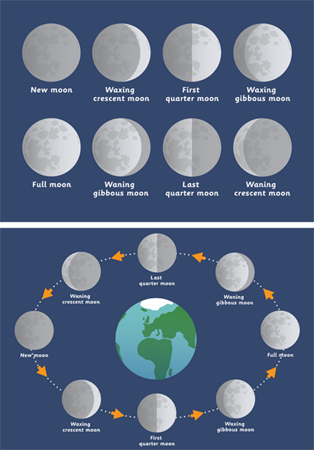 Early Learning Resources Phases of the Moon Posters