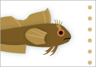 Rockpool Topic Words