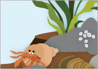 Rockpool Word Mat