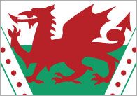 Welsh Flag Bunting