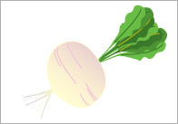 The Great Big Turnip Editable Labels